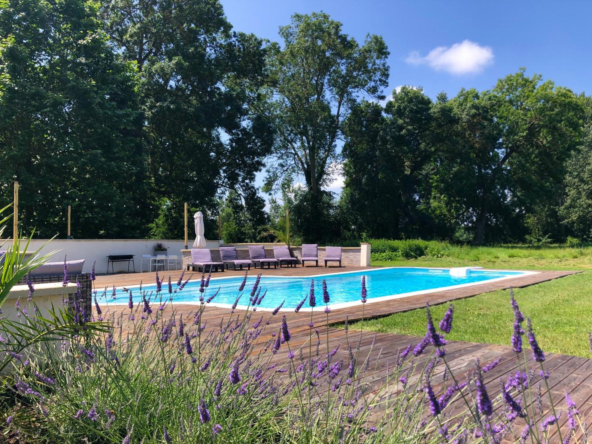 Chateau De La Coutere Saint-Laurent  外观 照片